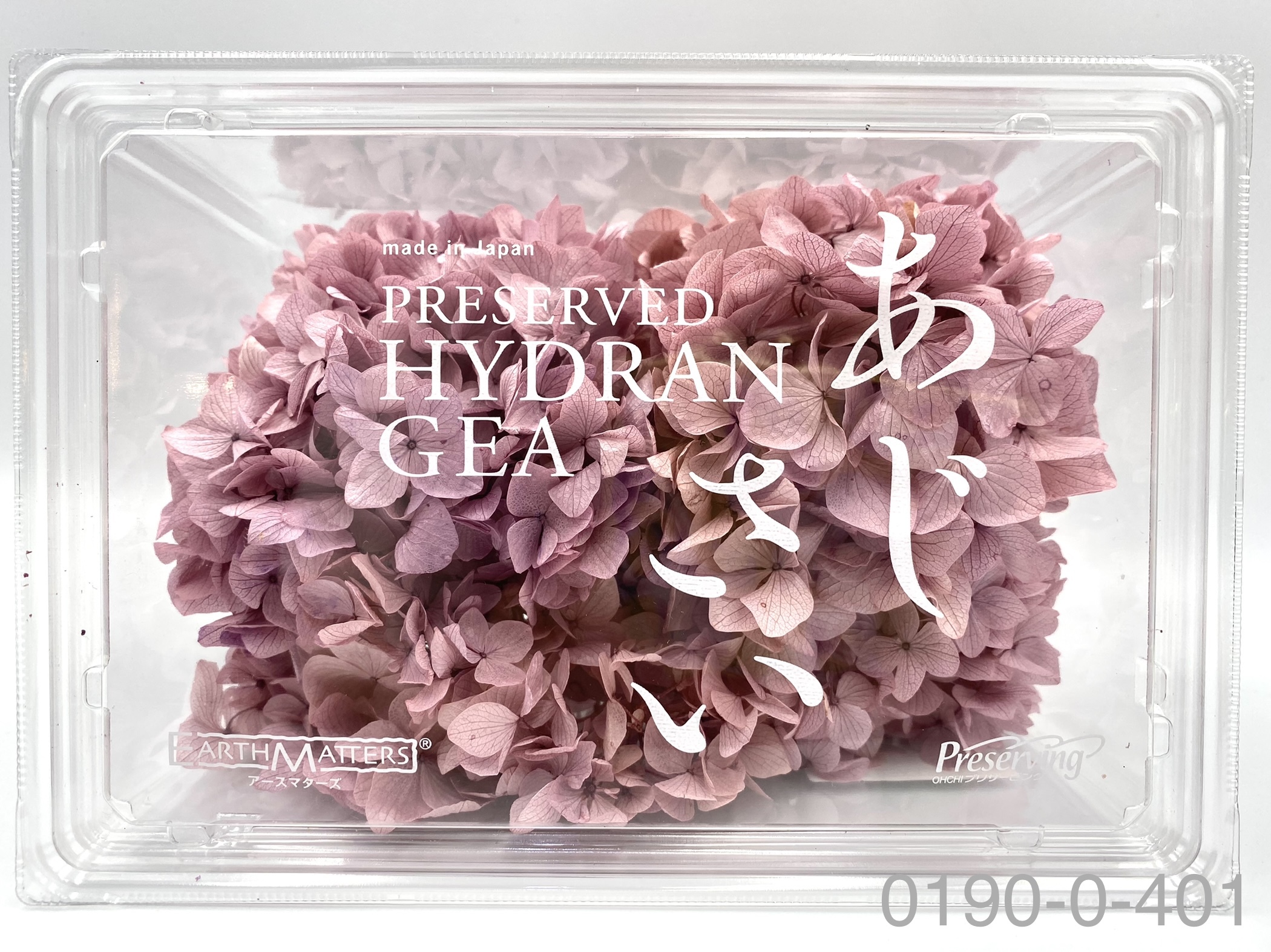 日本不凋大葉繡球01900-401