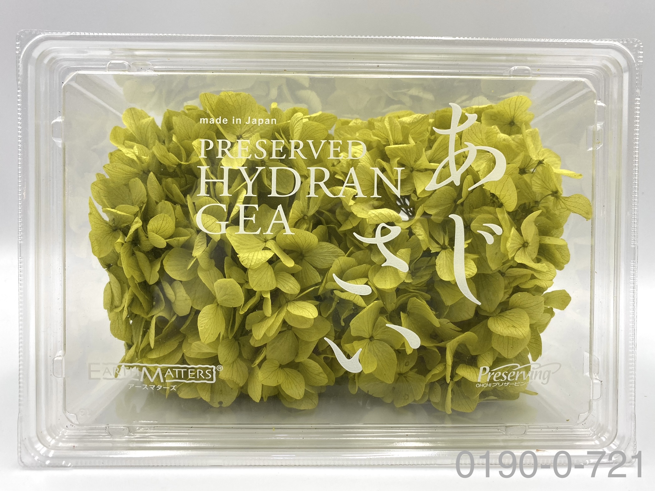 日本不凋大葉繡球01900-721