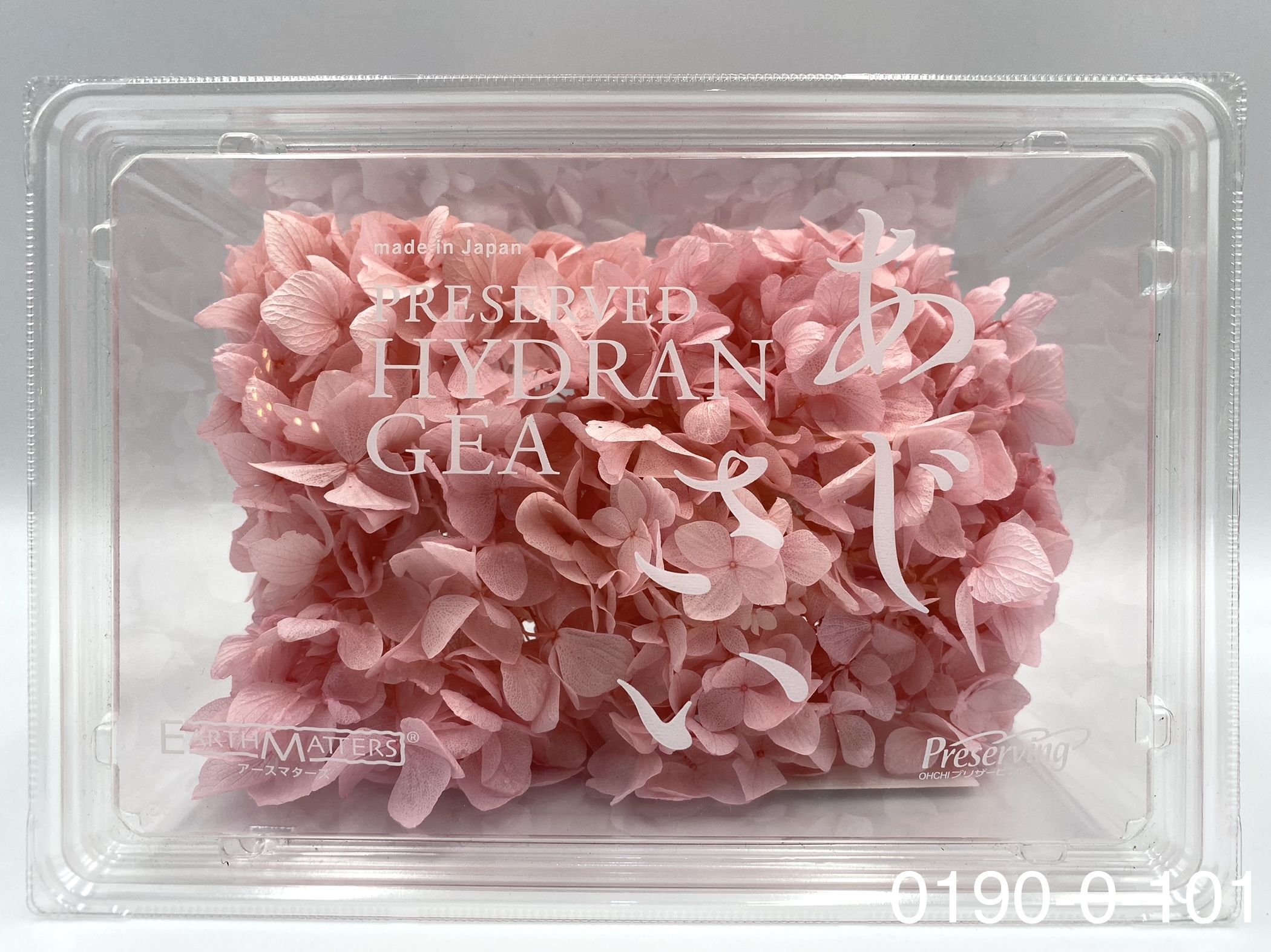 日本不凋大葉繡球01900-101