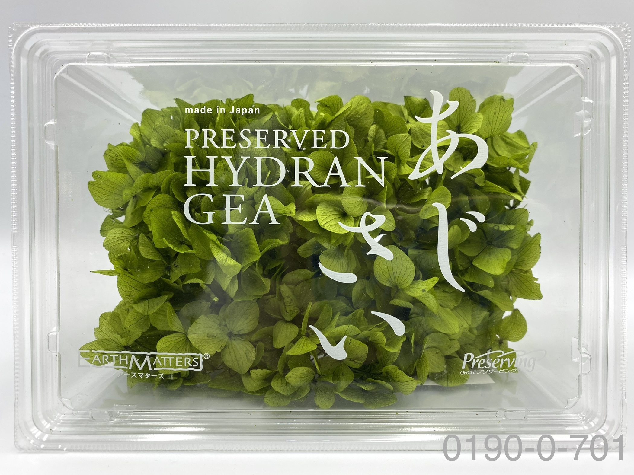 日本不凋大葉繡球01900-701