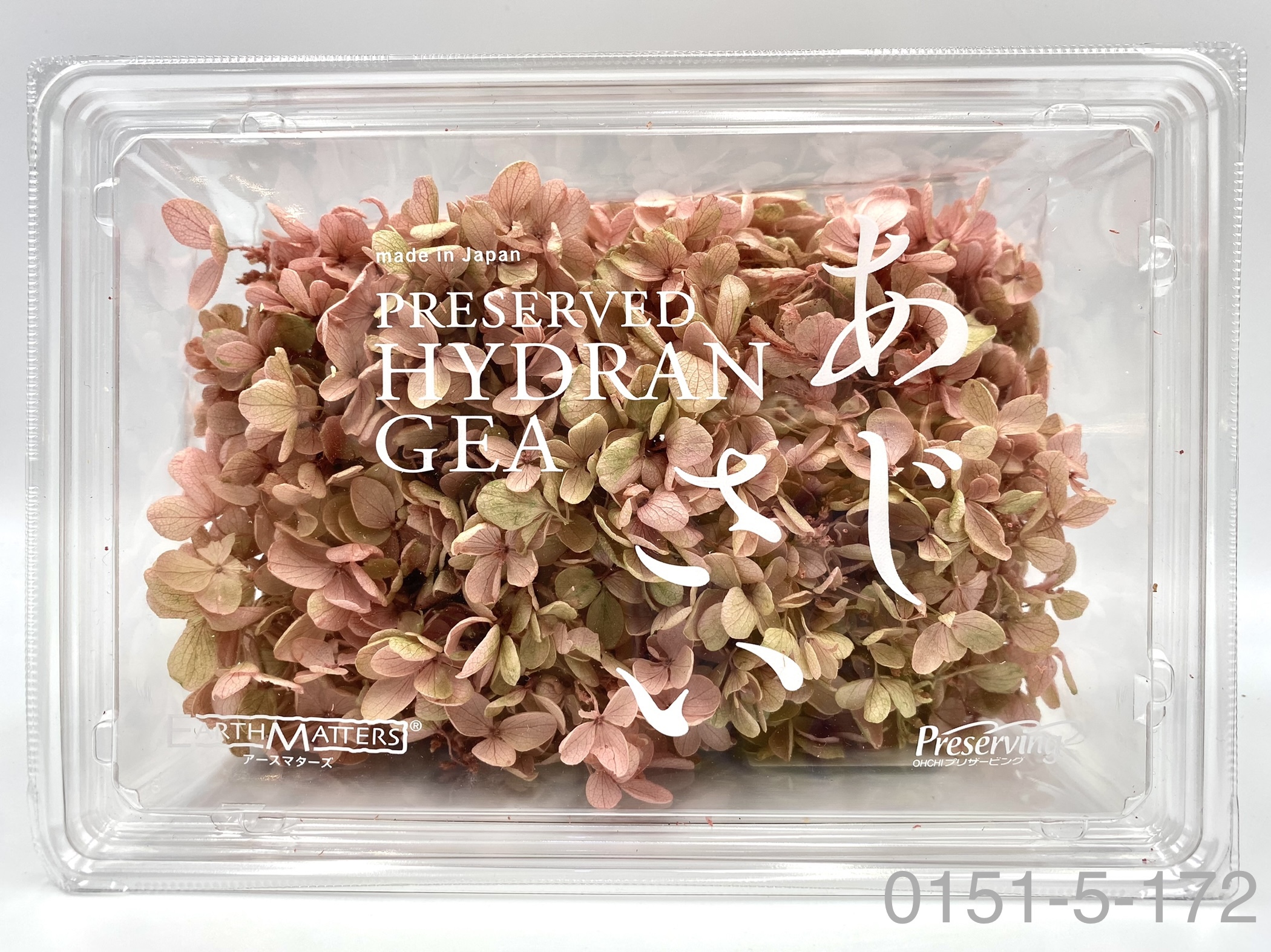 日本不凋中葉繡球 01515-172