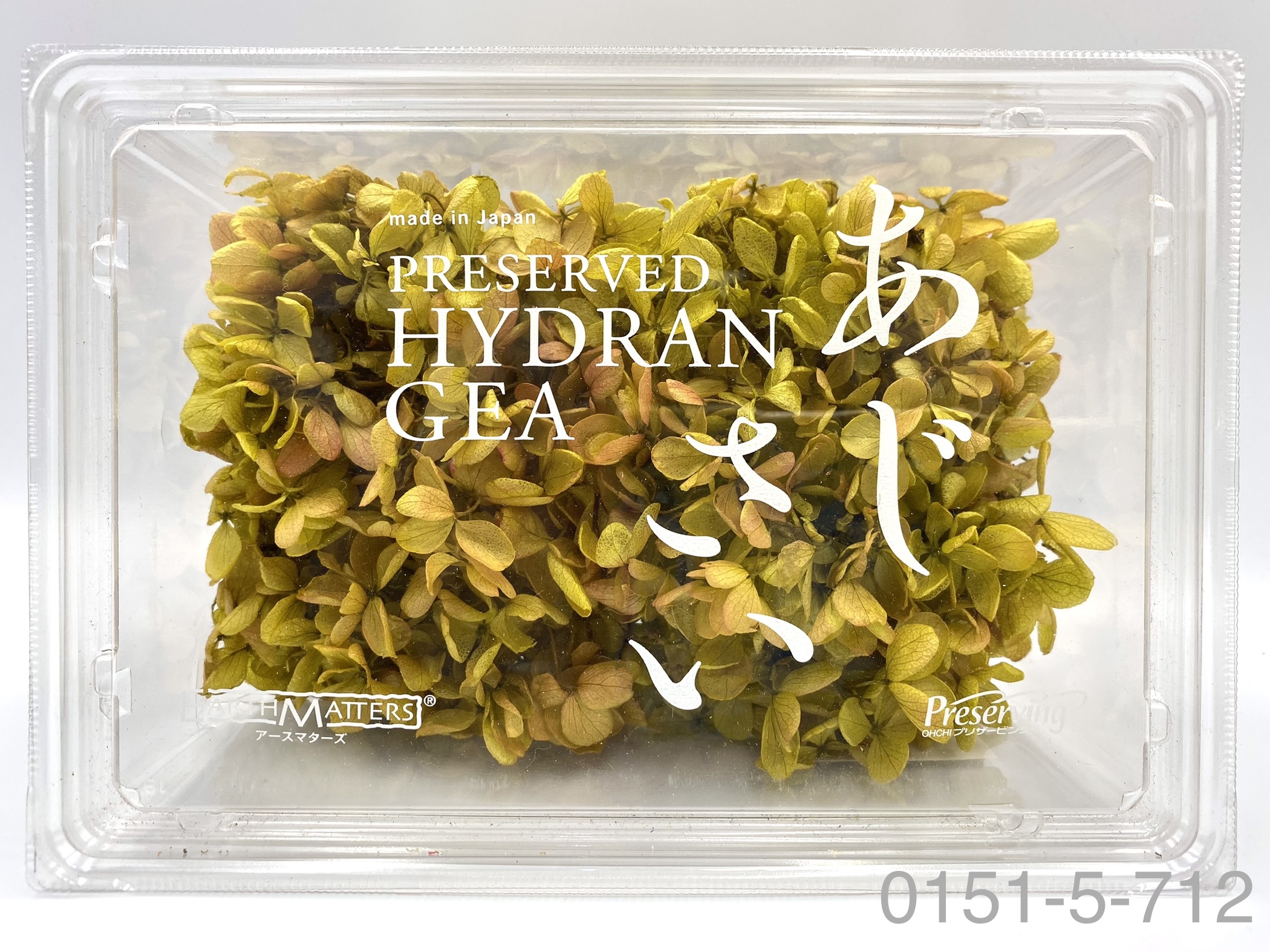 日本不凋中葉繡球 01515-712