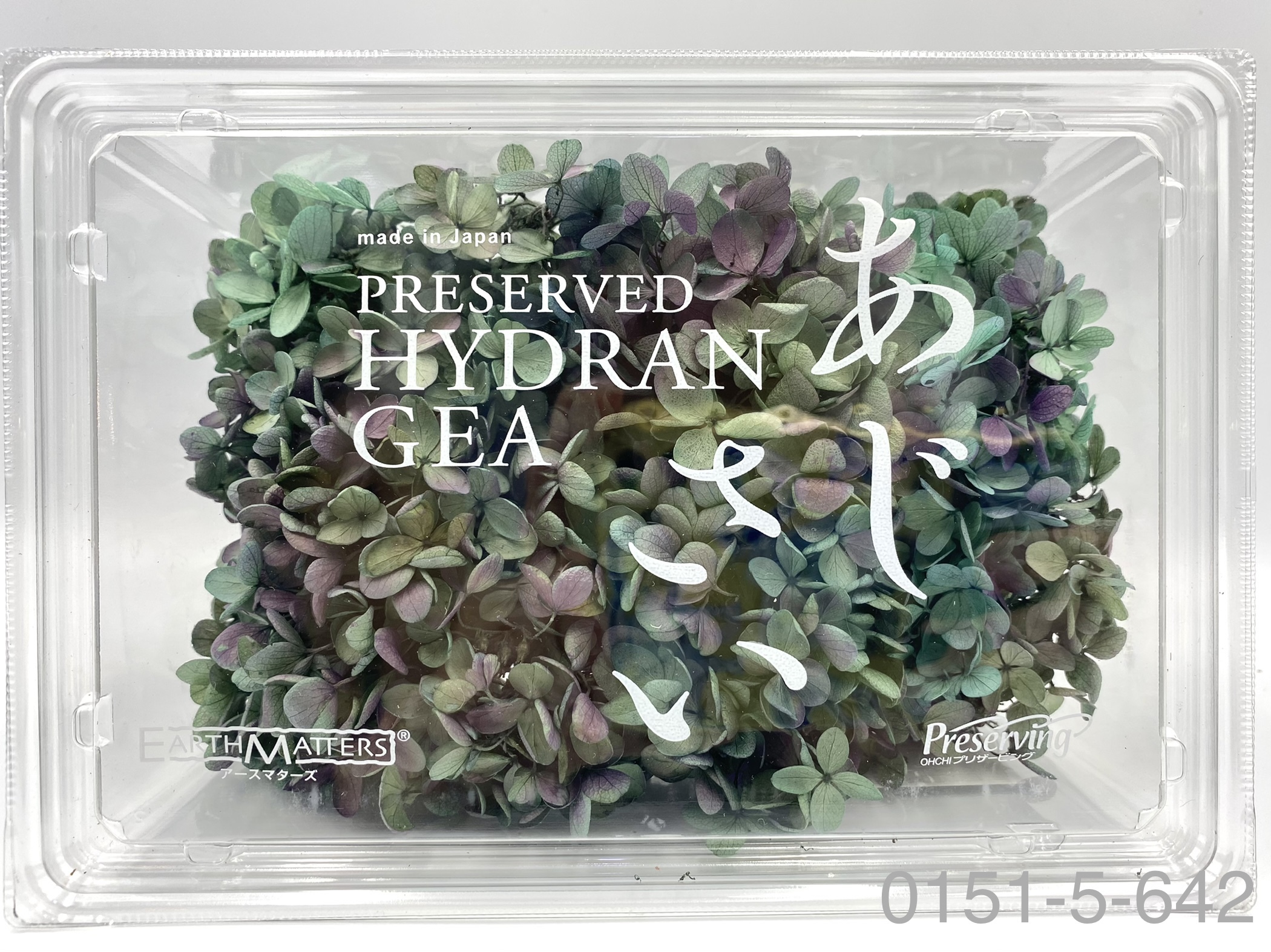 日本不凋中葉繡球 01515-642