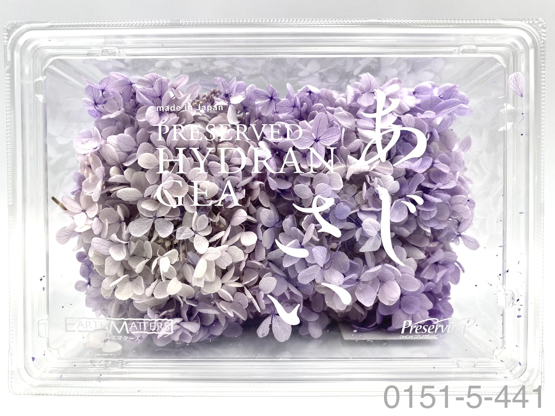 日本不凋中葉繡球 01515-441