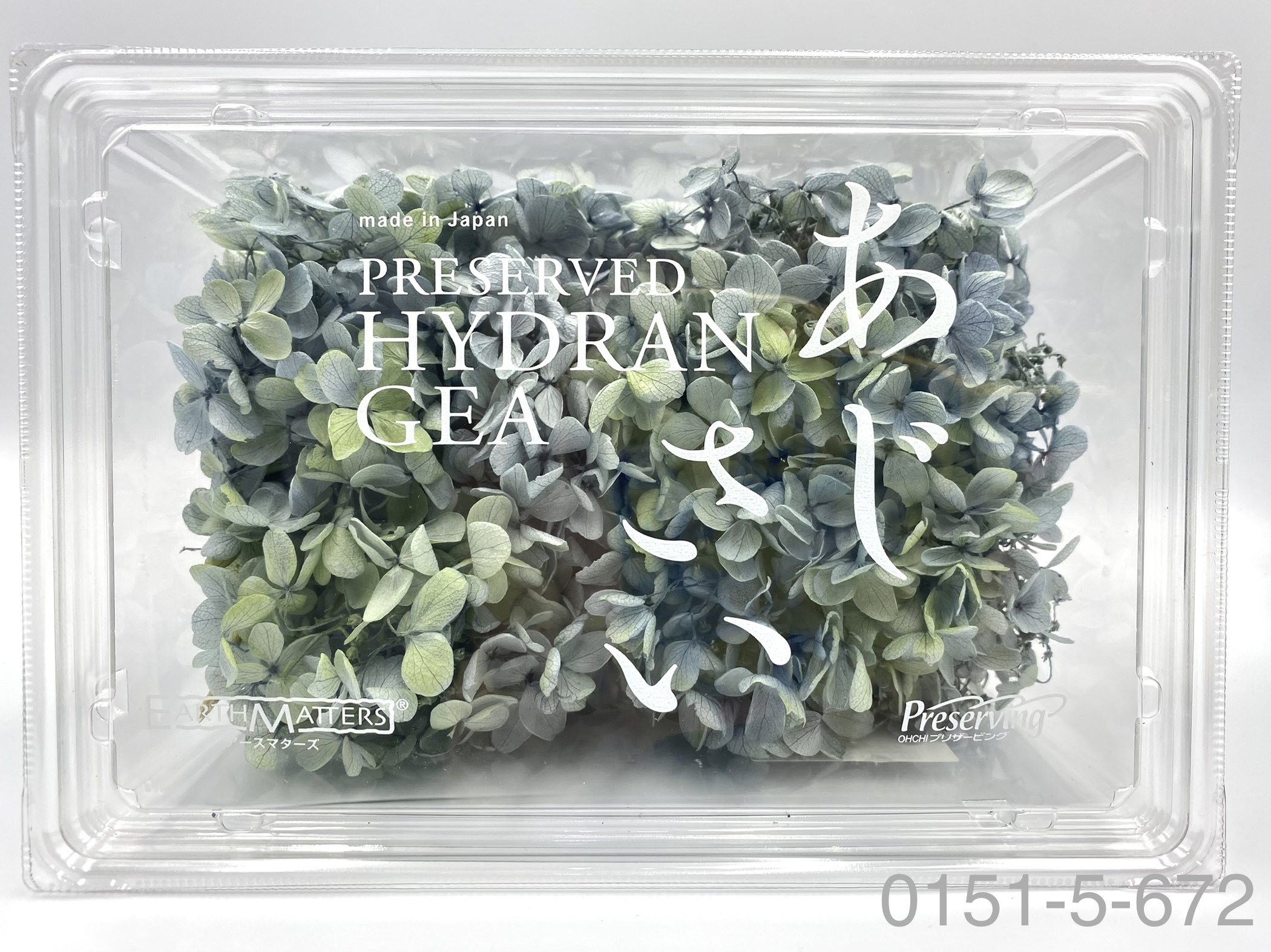 日本不凋中葉繡球 01515-672