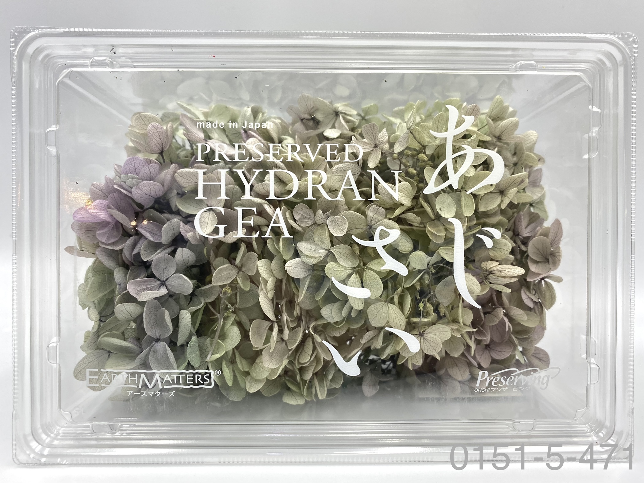 日本不凋中葉繡球 01515-471