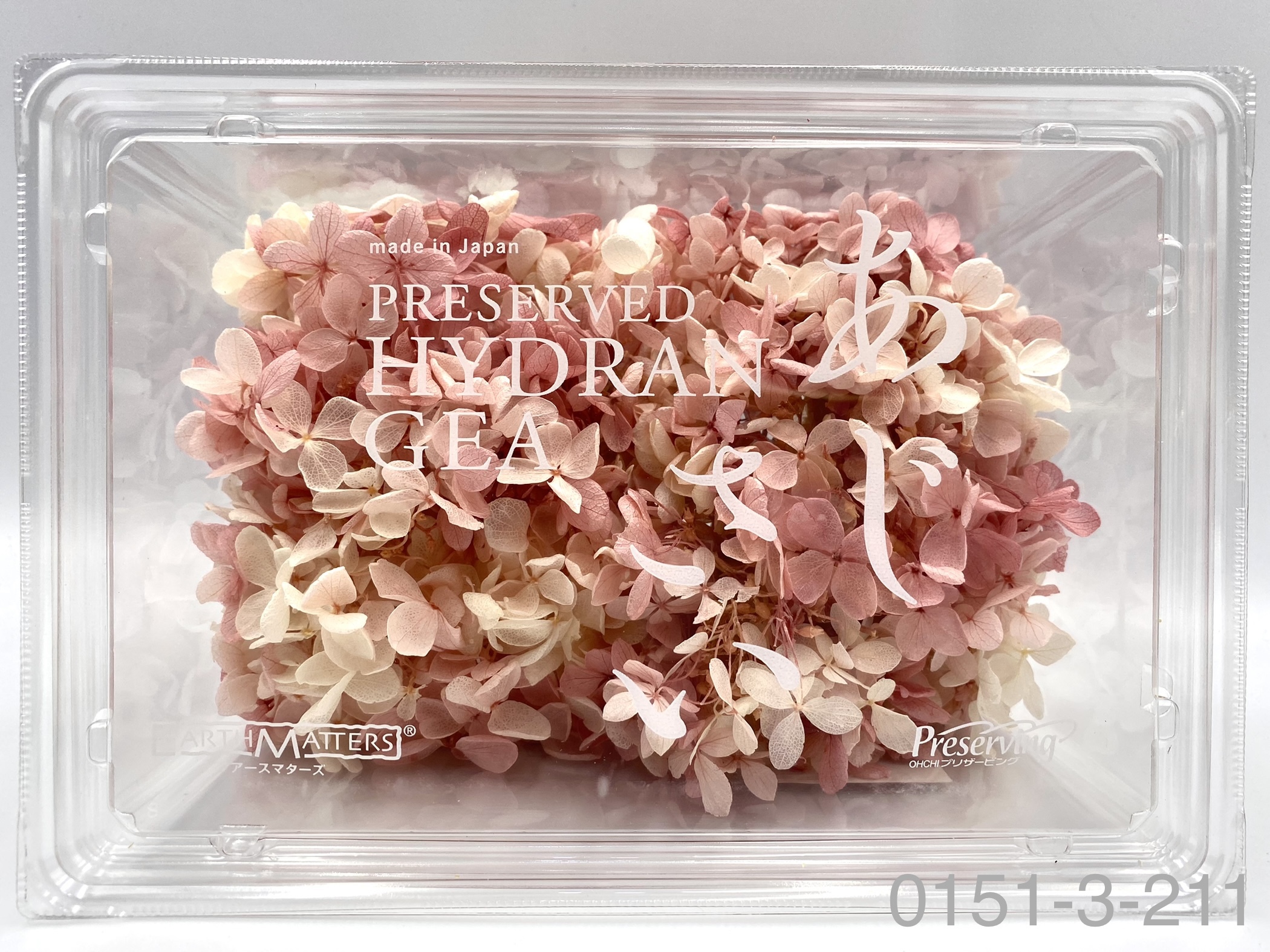 日本不凋中葉繡球 01513-211