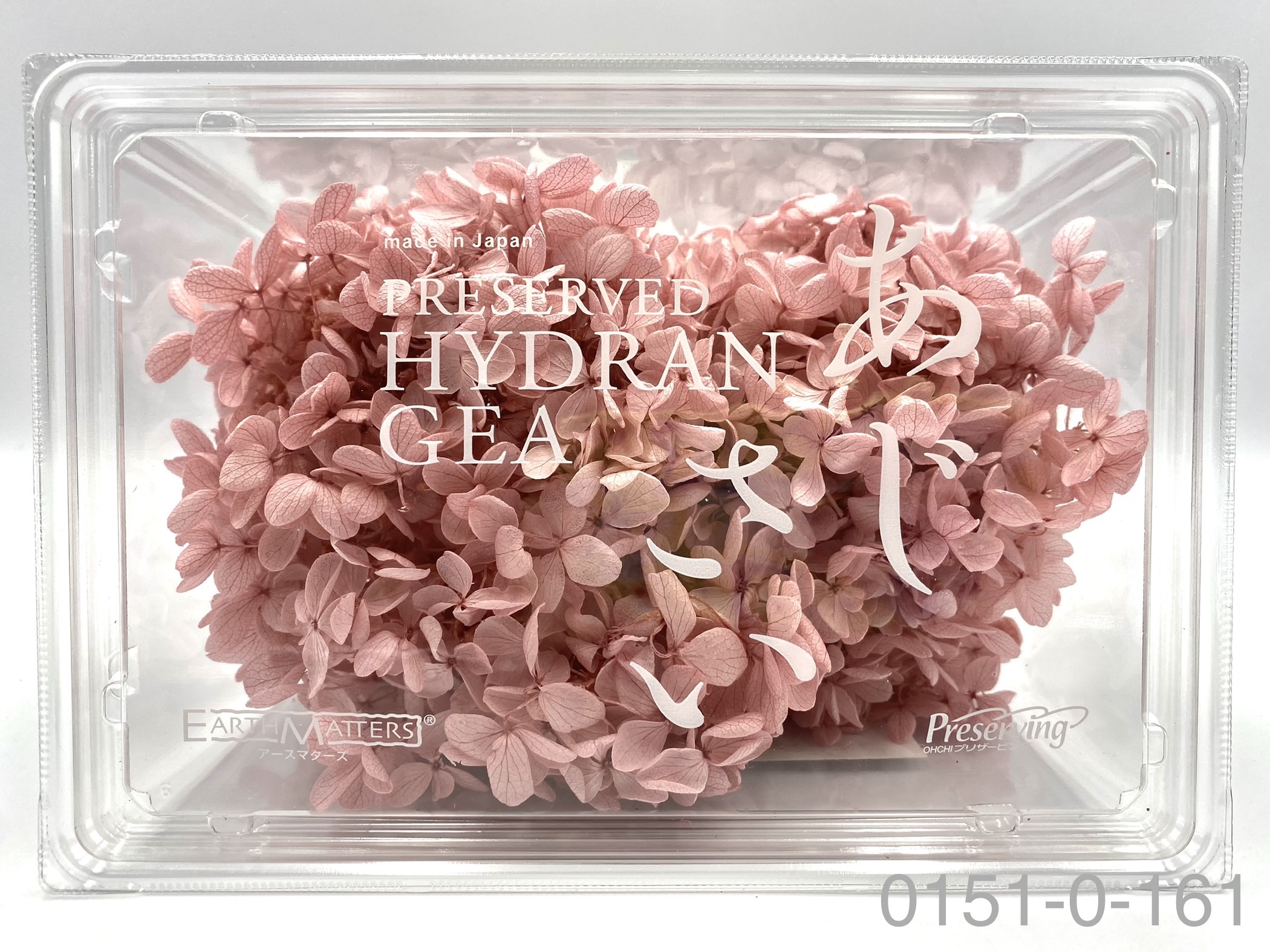 日本不凋中葉繡球 01510-161