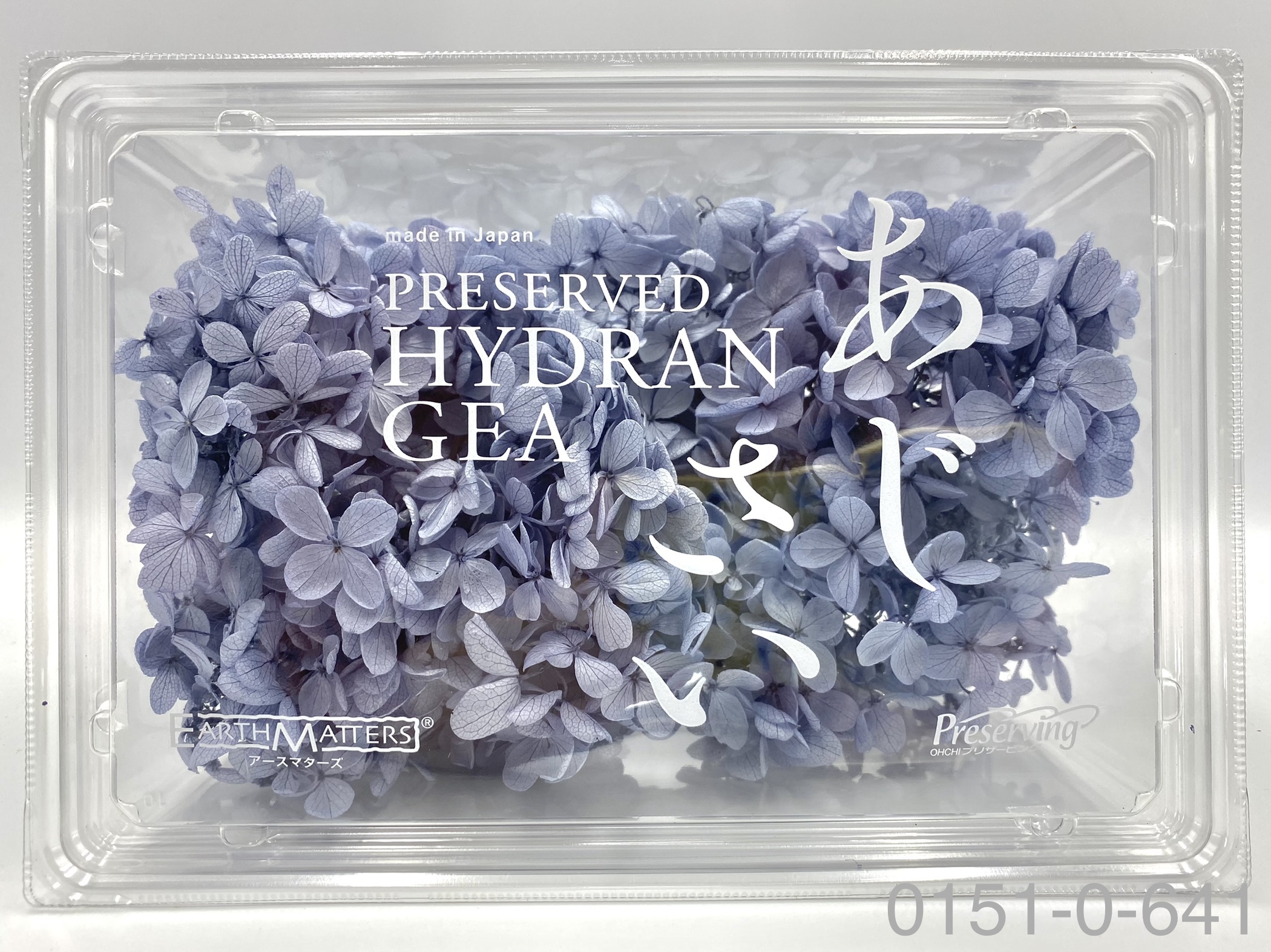 日本不凋中葉繡球 01510-641