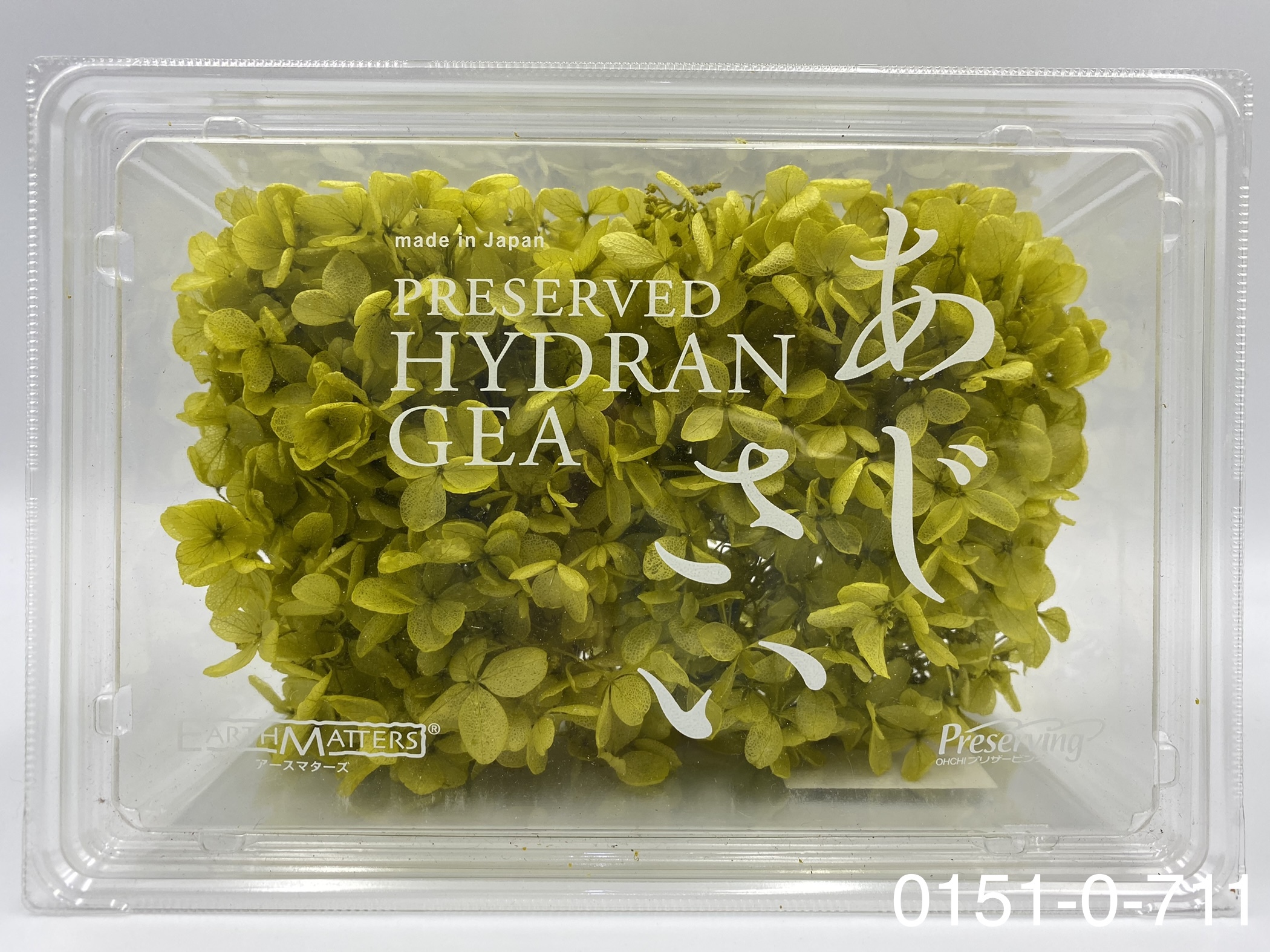 日本不凋中葉繡球 01510-711