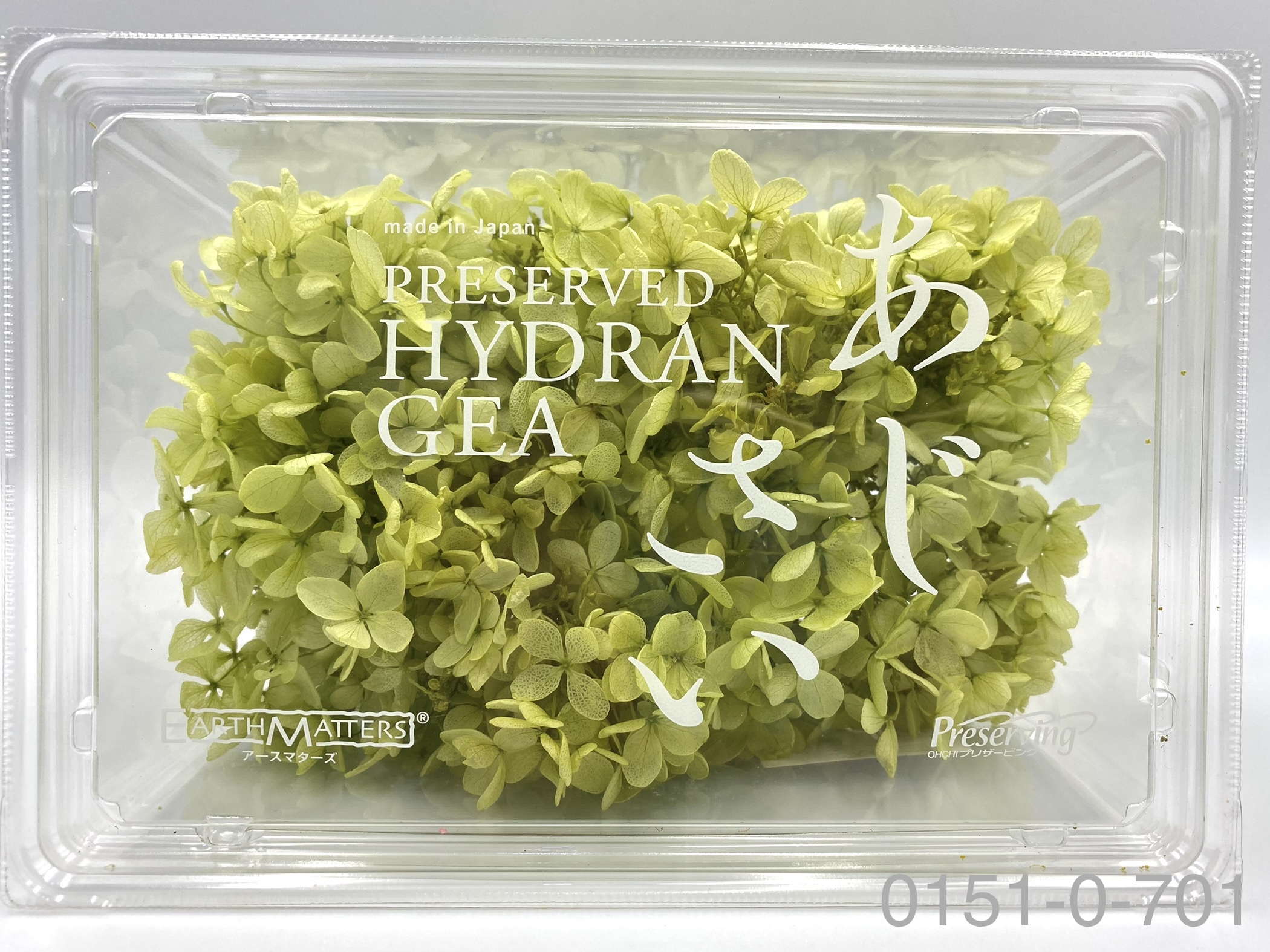 日本不凋中葉繡球 01510-701