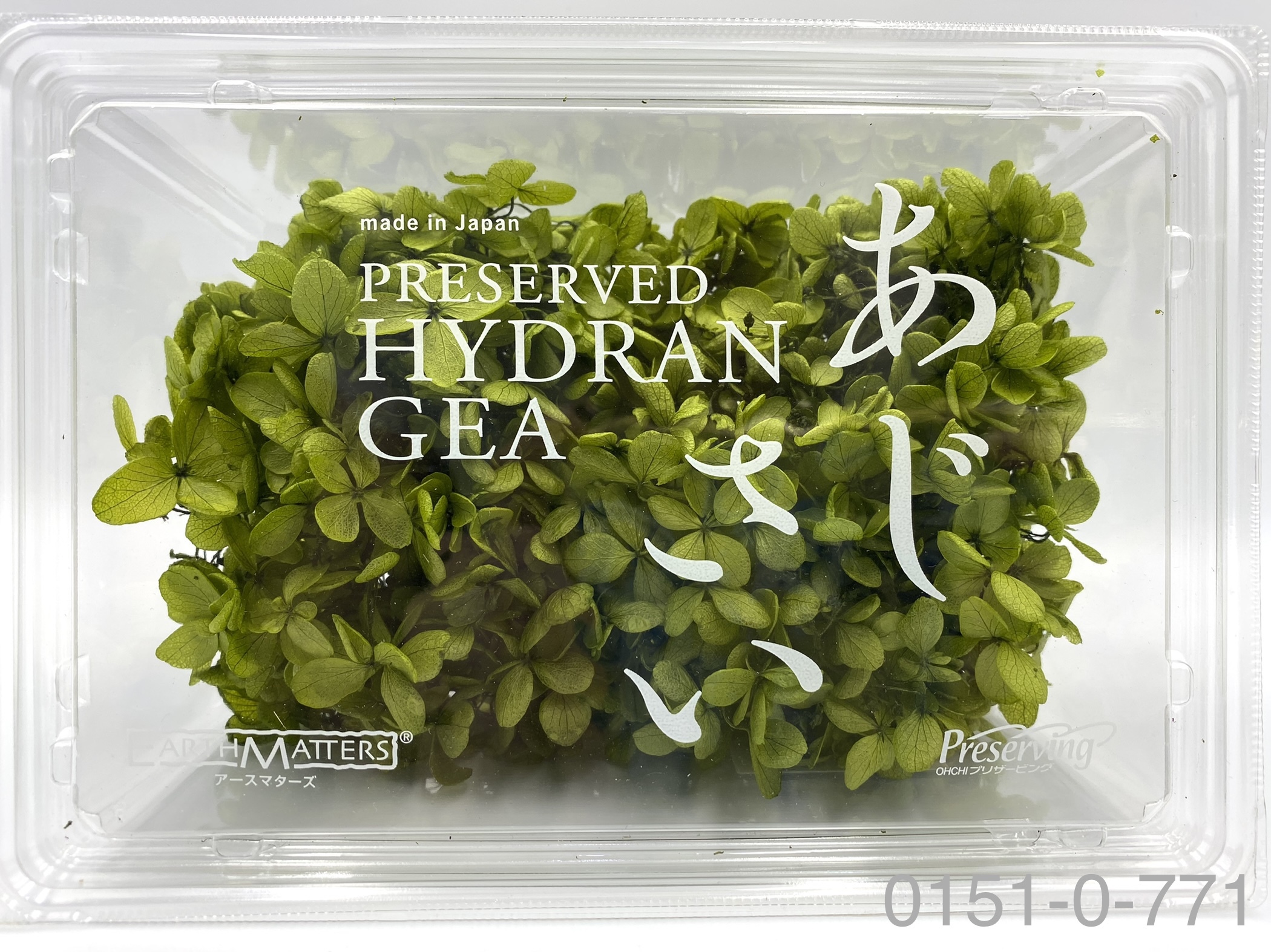 日本不凋中葉繡球 01510-771