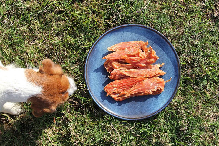 寵鮮灶腳-黃金雞菲力