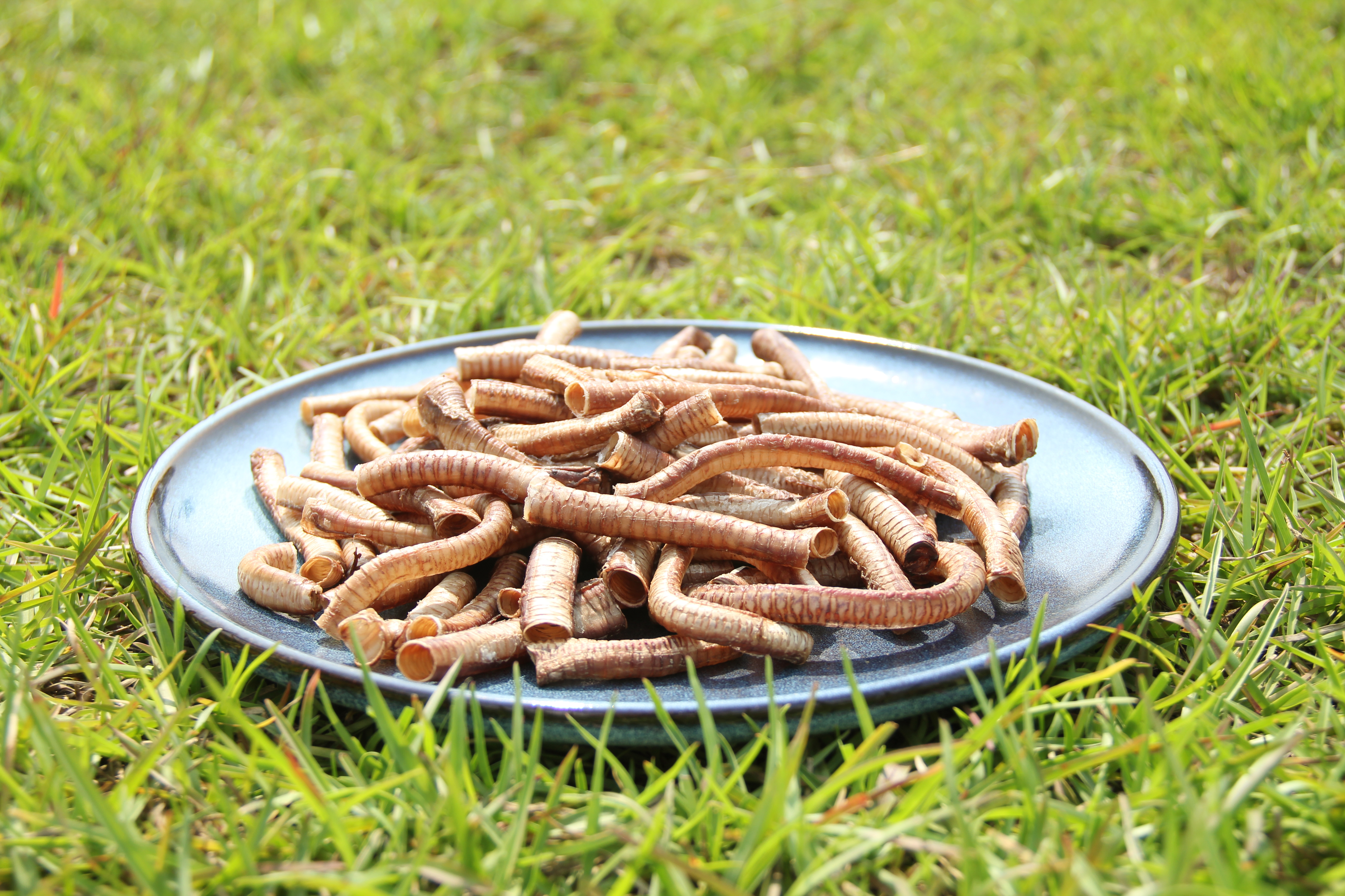 寵鮮灶腳-櫻桃鴨脆管