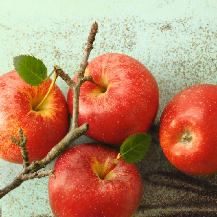 【德國BZ】蘋果醋-未過濾