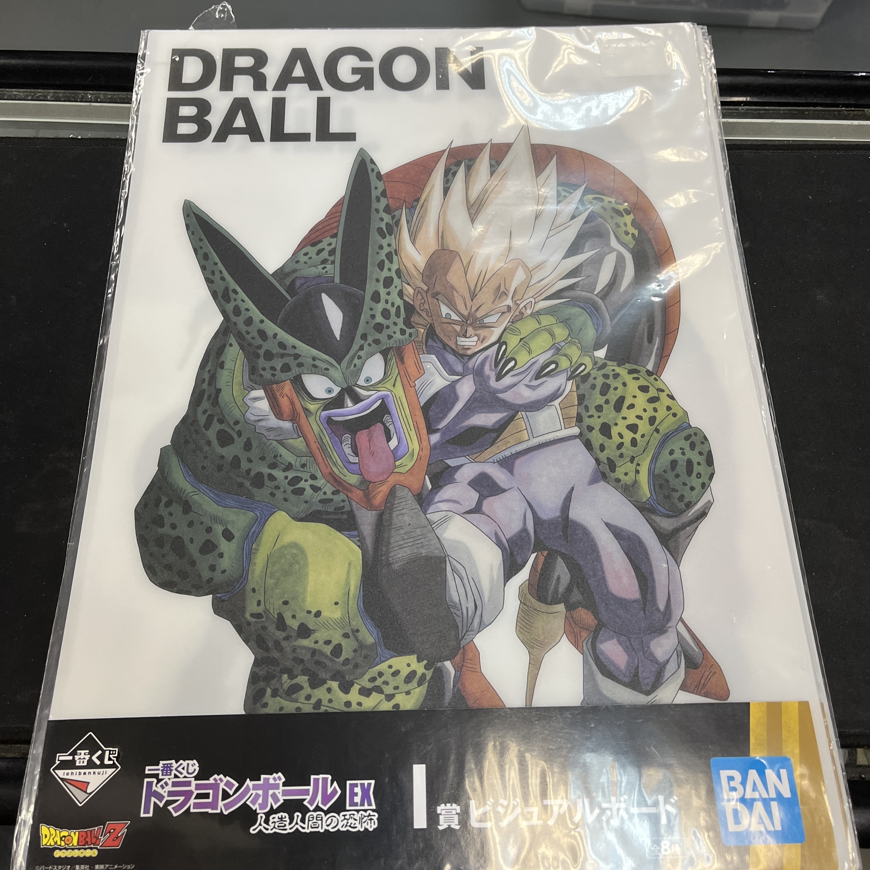 龍珠系列-Dragon Ball 一番賞 I 賞 Visual Sheet