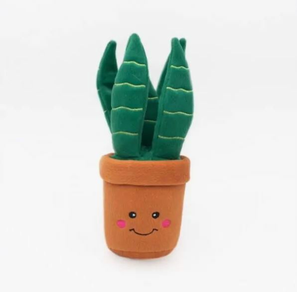 Zippy Paws - Snake Plant