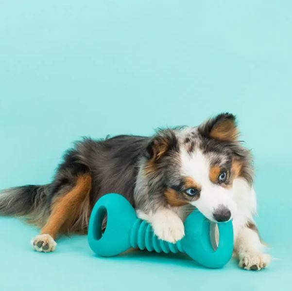 Zippy Paws - ZippyTuff Squeakerz - Dumbbell