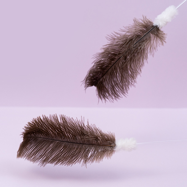 Zooah Ostrich Stick