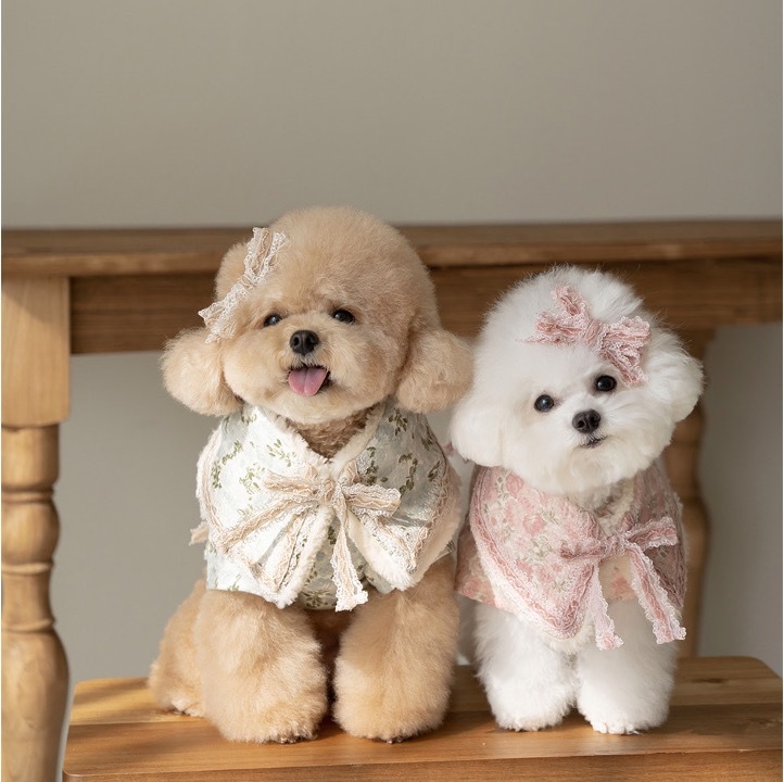 OPAAAP 復古天鵝絨蕾絲領圍