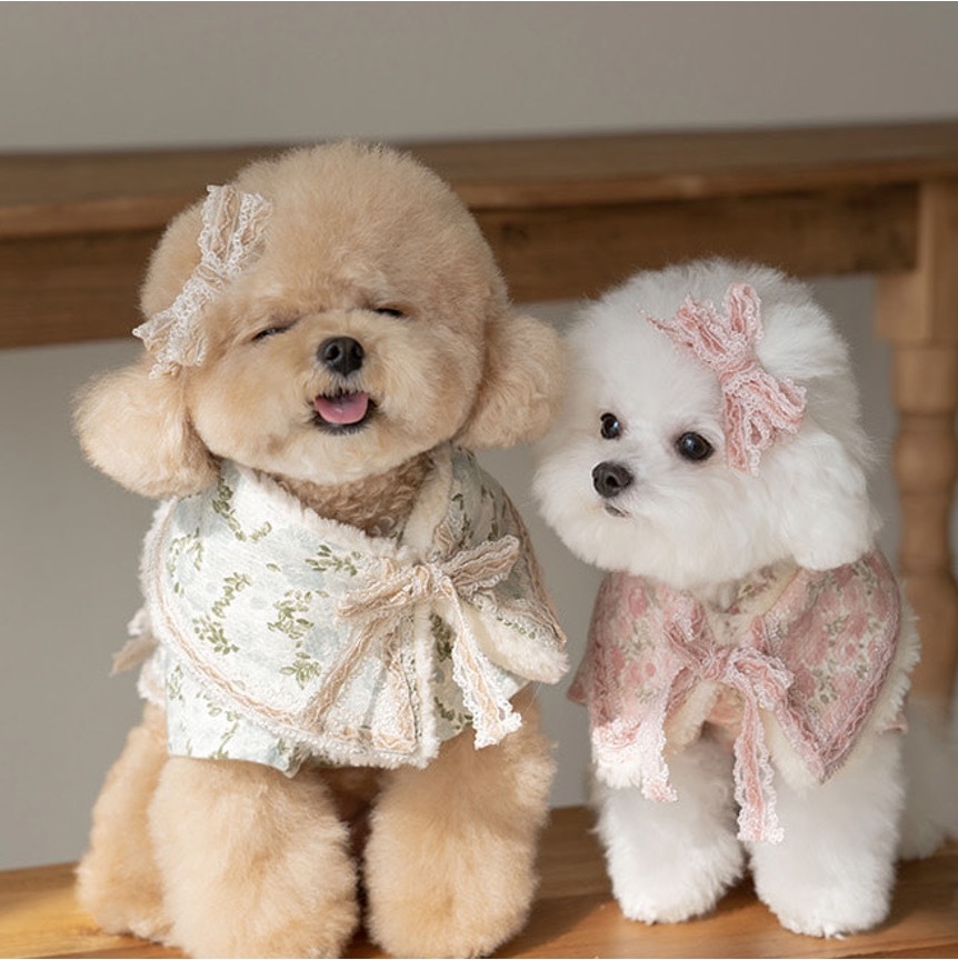 OPAAAP 復古天鵝絨蕾絲領圍