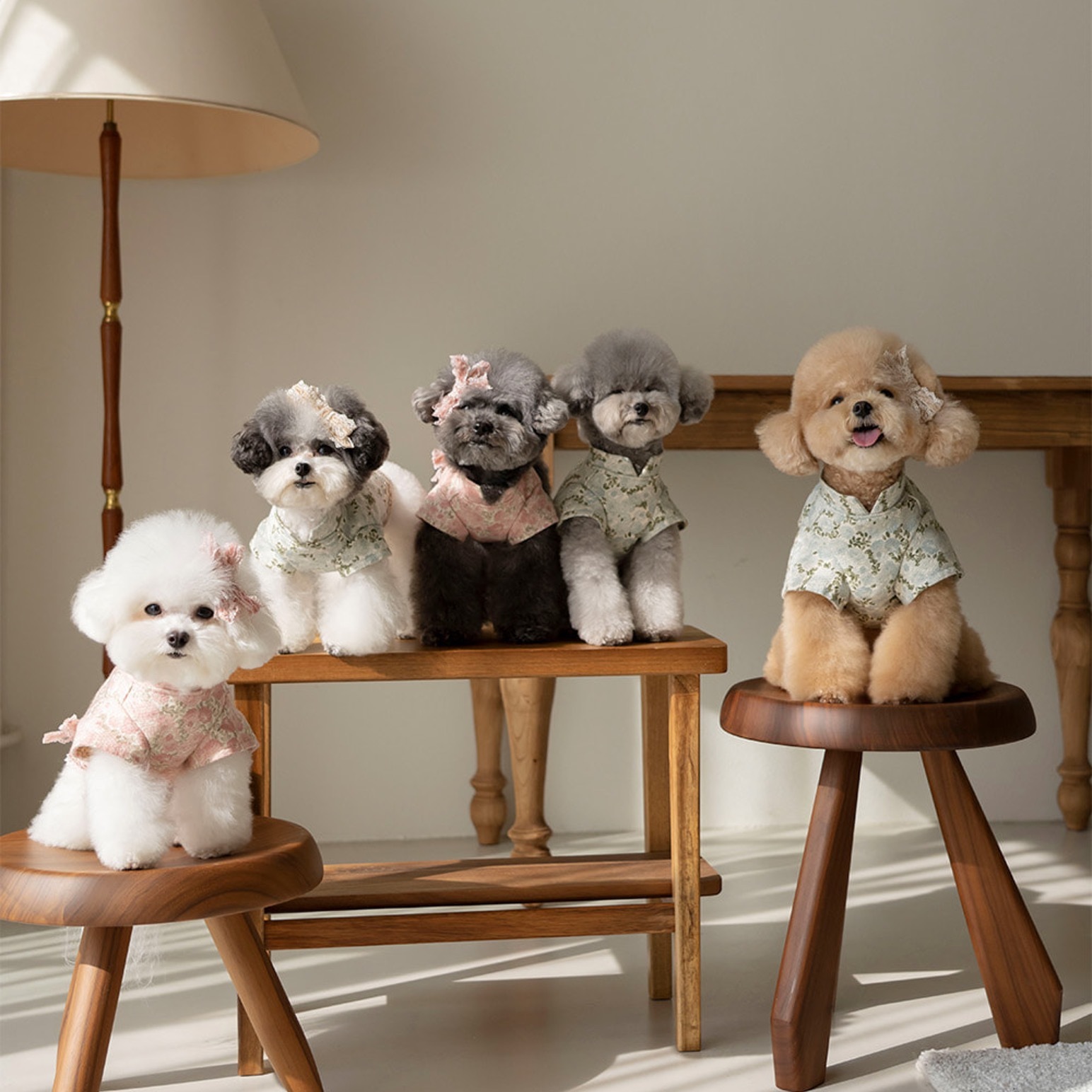 OPAAAP 復古天鵝絨蕾絲上衣