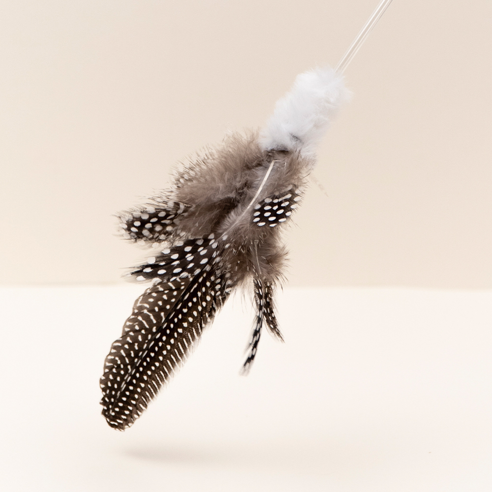 Zooah Guinea Fowl Stick