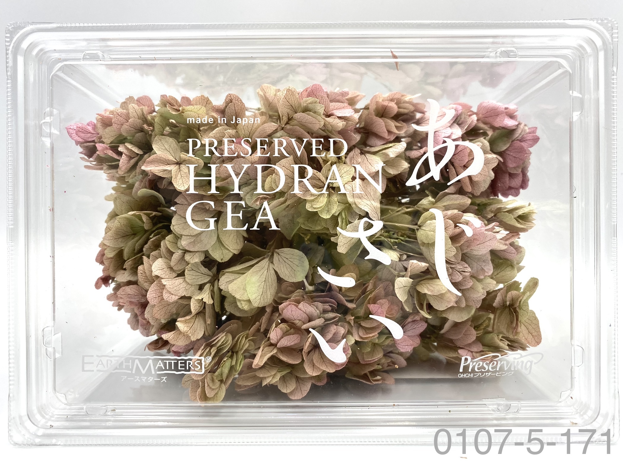 日本不凋重瓣繡球 01075-171