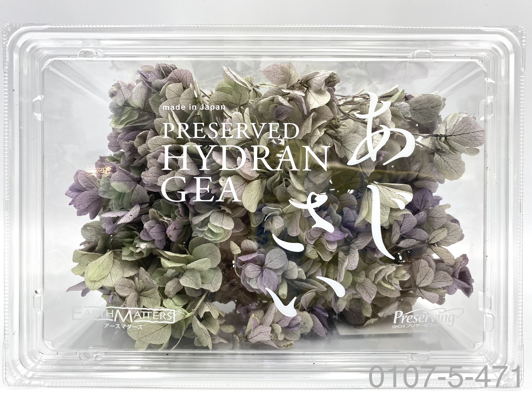 日本不凋重瓣繡球 01075-471