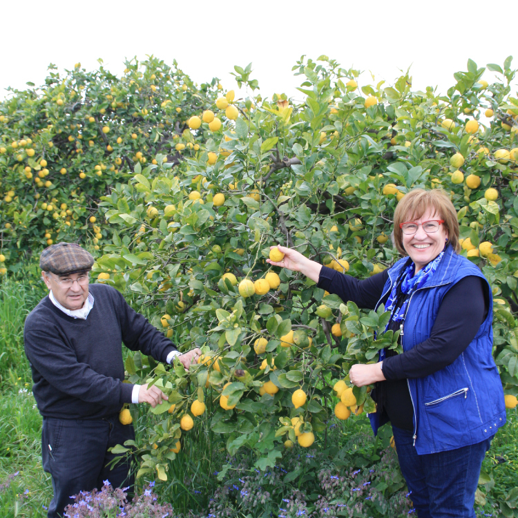 【河谷鳥】德國檸檬原汁