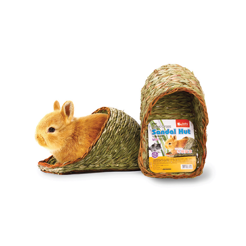 Jolly 大頭草鞋睡房