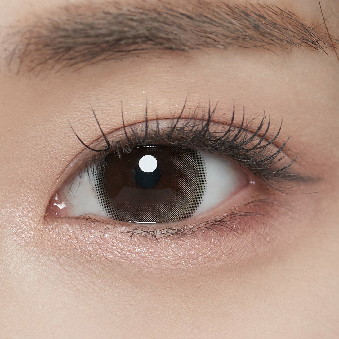 [月拋] Kissing Heart Stereo Lens Plus 1 month Brown 月拋彩妝隱形眼鏡｜每盒1片