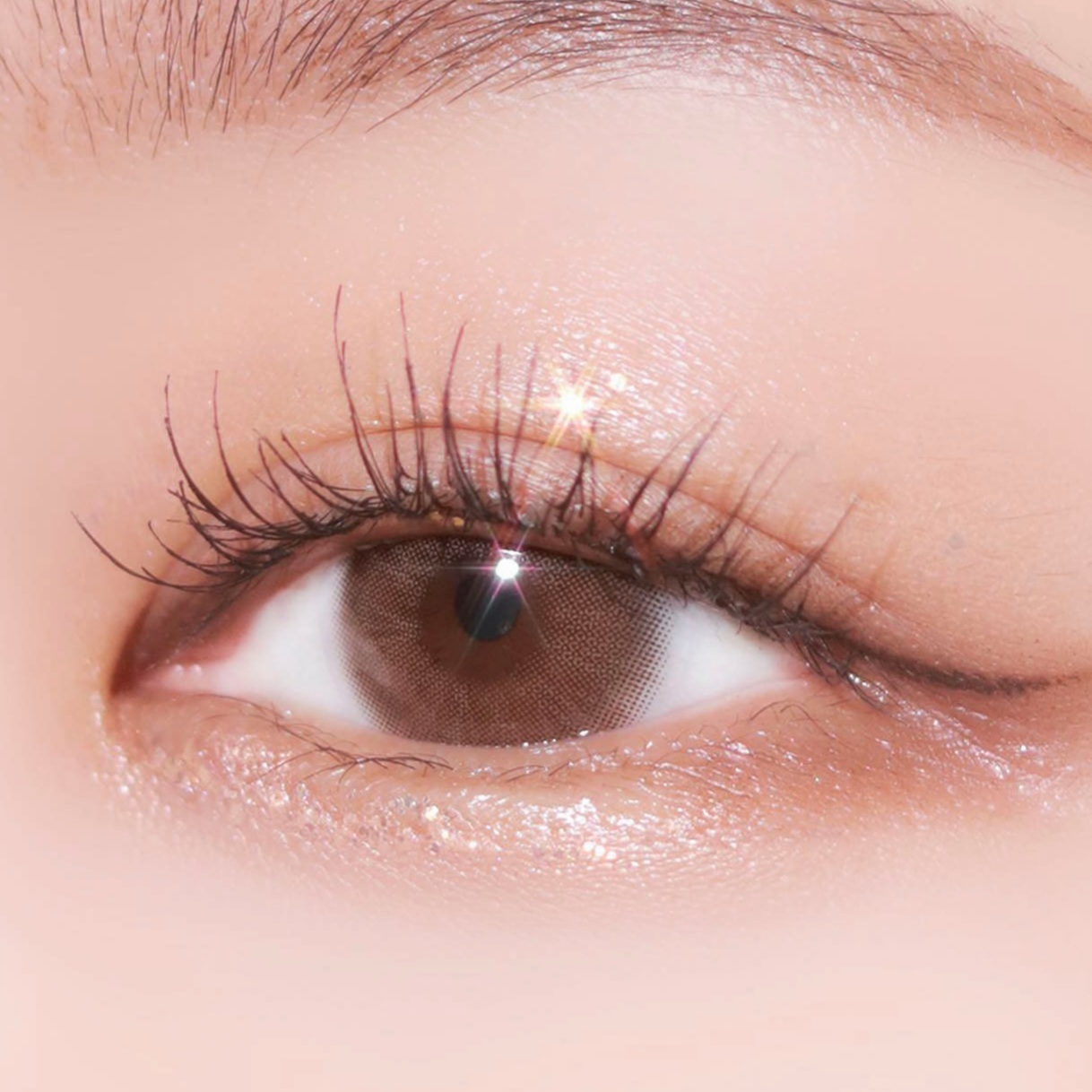 [月拋]  LENSPLAY 1 month Veneta brown 月拋彩妝隱形眼鏡｜每盒2片