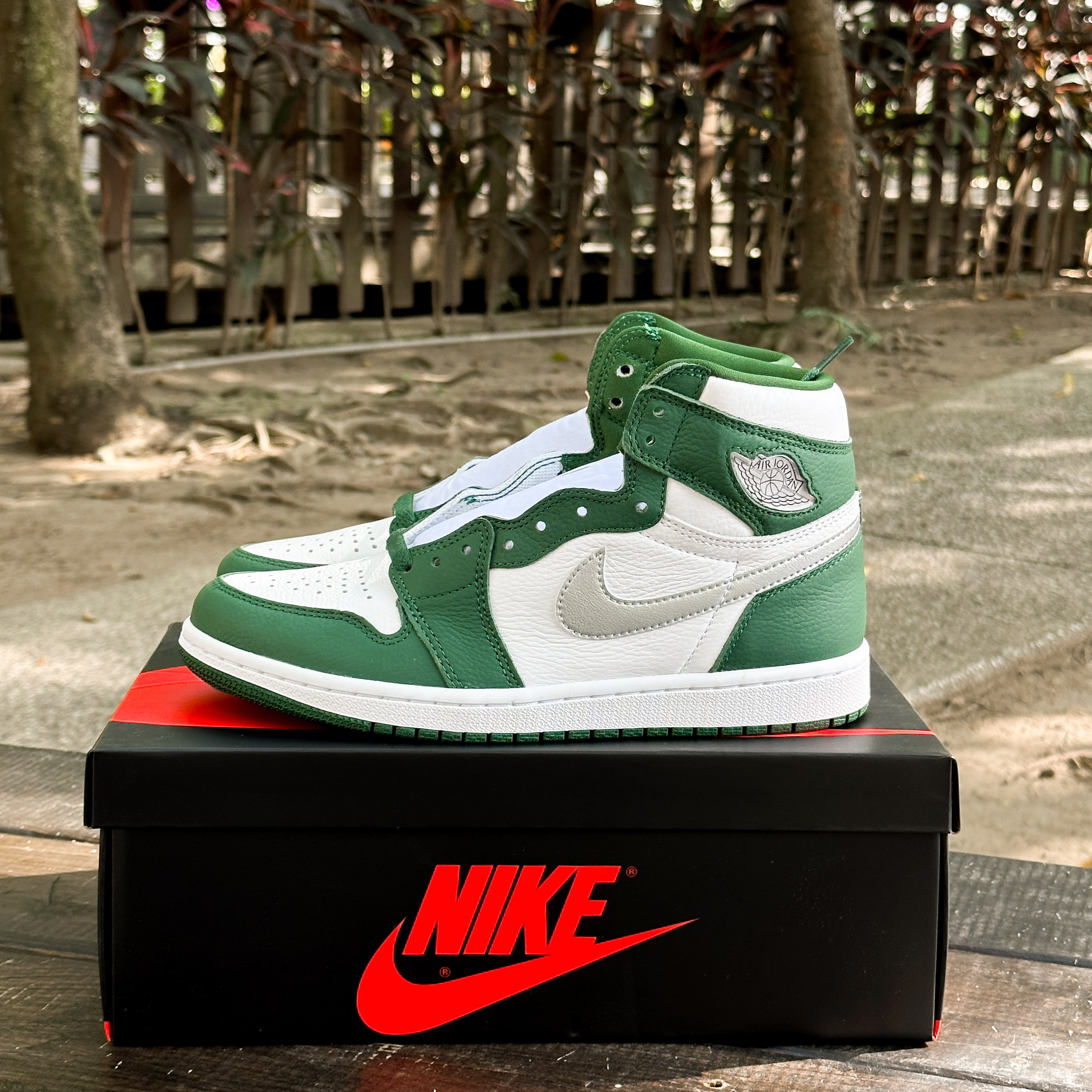 NikAir Jordan 1 Retro High OG Gorge Green 峽谷綠DZ5485-30