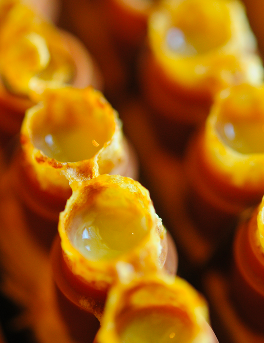 養蜂人的私蜜呵護 | 蜂膠皂 100gm