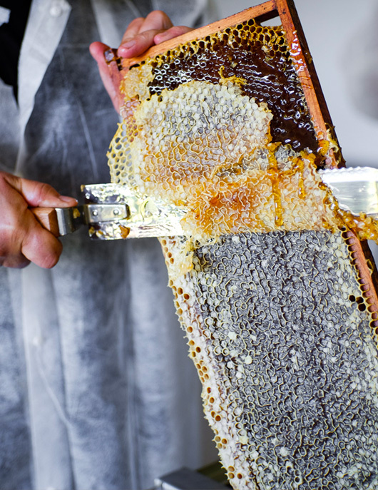 養蜂人的絲蜜雪絨 | 蜂唇膏 15ml