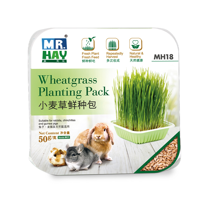 Mr. Hay 小麥草鮮種包 - 50g