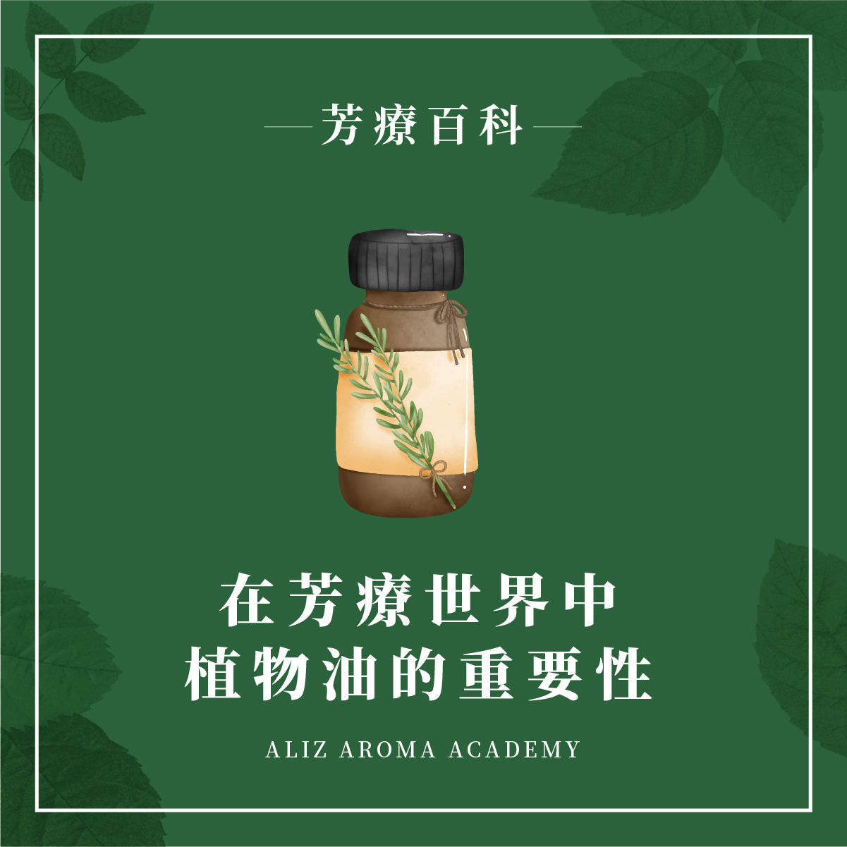 在芳療世界中，植物油的重要性