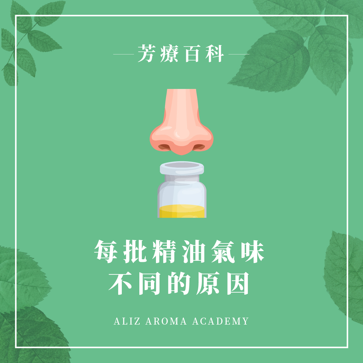 每批精油氣味不同的原因