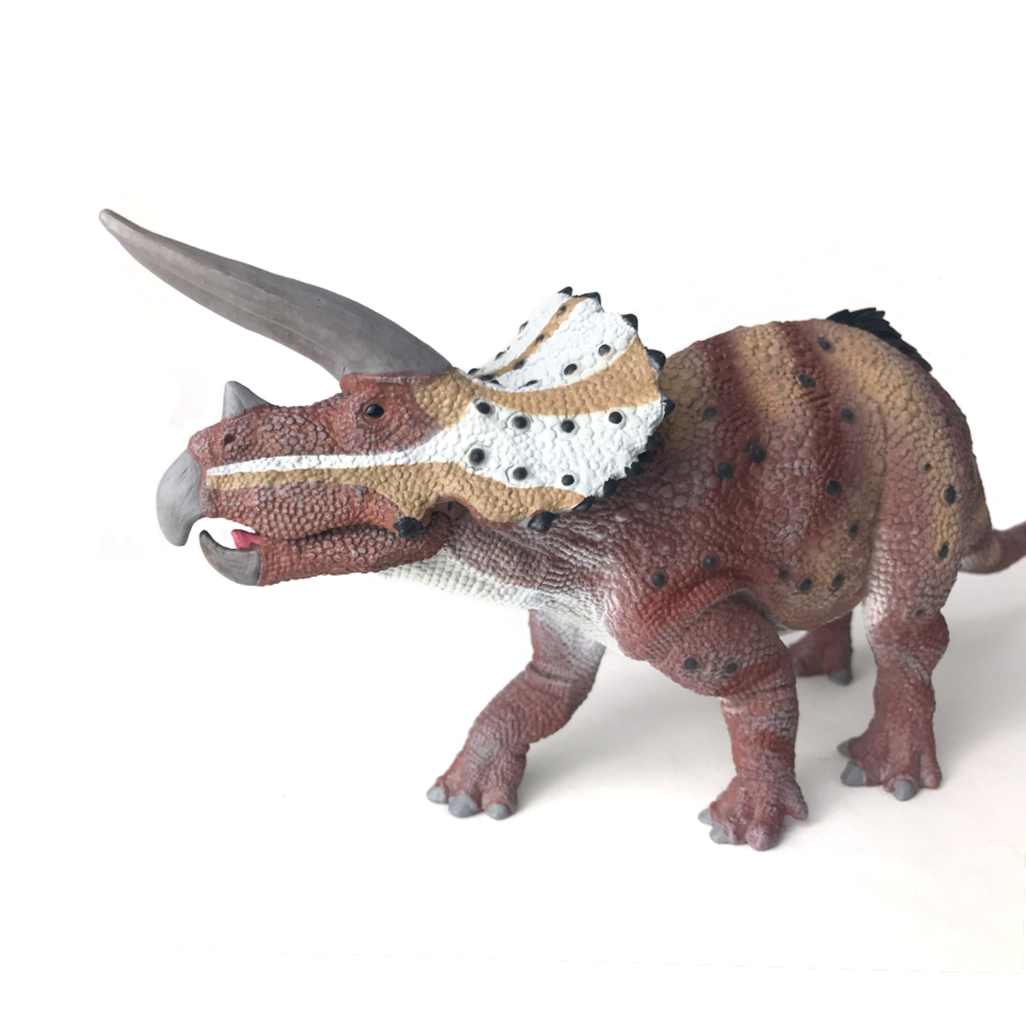 《 COLLECTA 》 三角龍 - 活動嘴巴