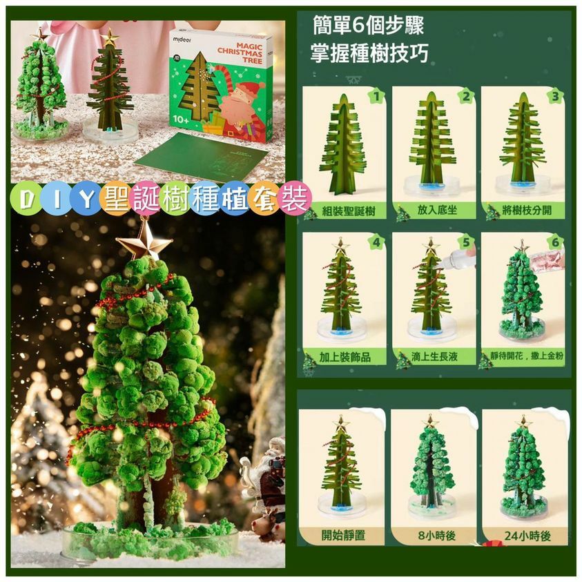 (現貨)🎄🎉DIY聖誕樹種植套裝🎄