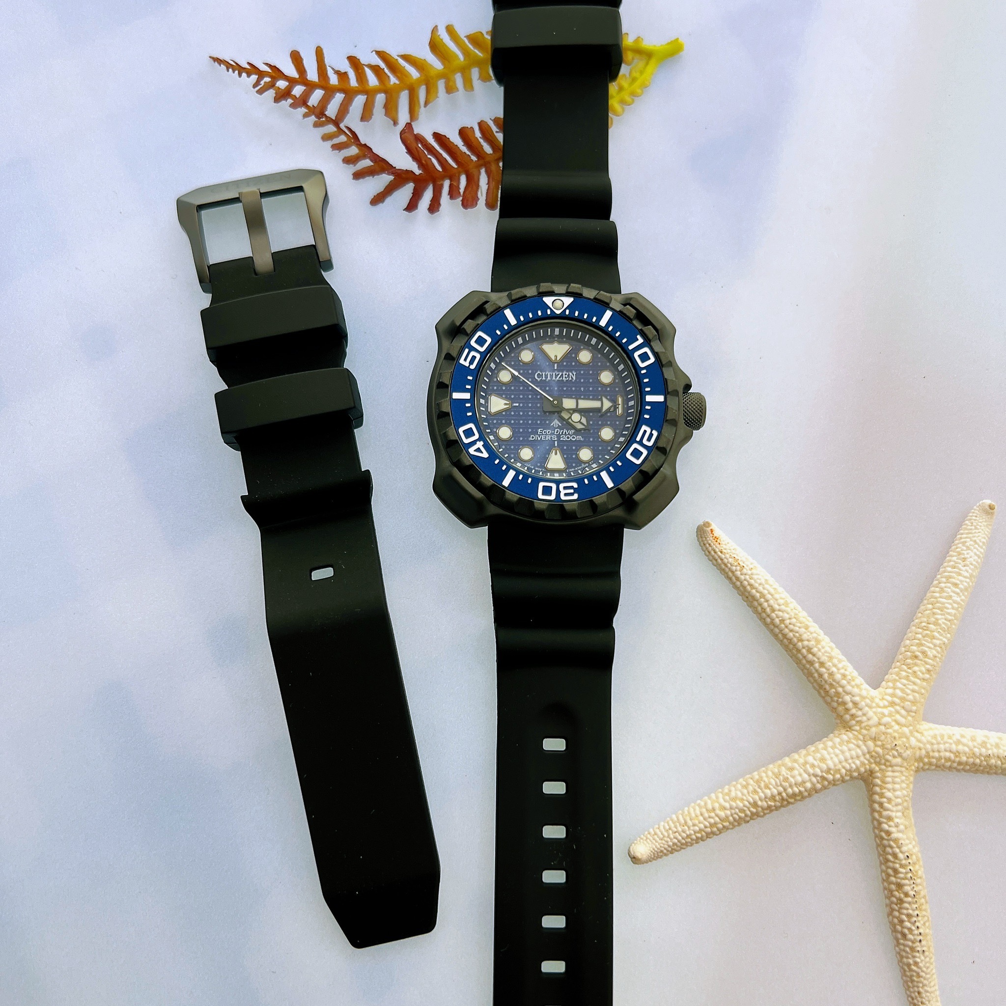 【CITIZEN 星辰】1982復刻鯨鯊限定潛水腕錶+贈延長帶 BN0225-04L 45.8mm 現代鐘錶