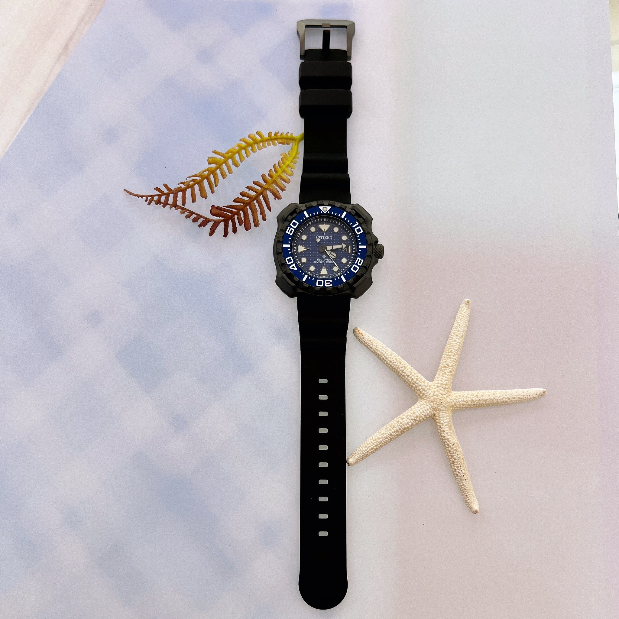 【CITIZEN 星辰】1982復刻鯨鯊限定潛水腕錶+贈延長帶 BN0225-04L 45.8mm 現代鐘錶