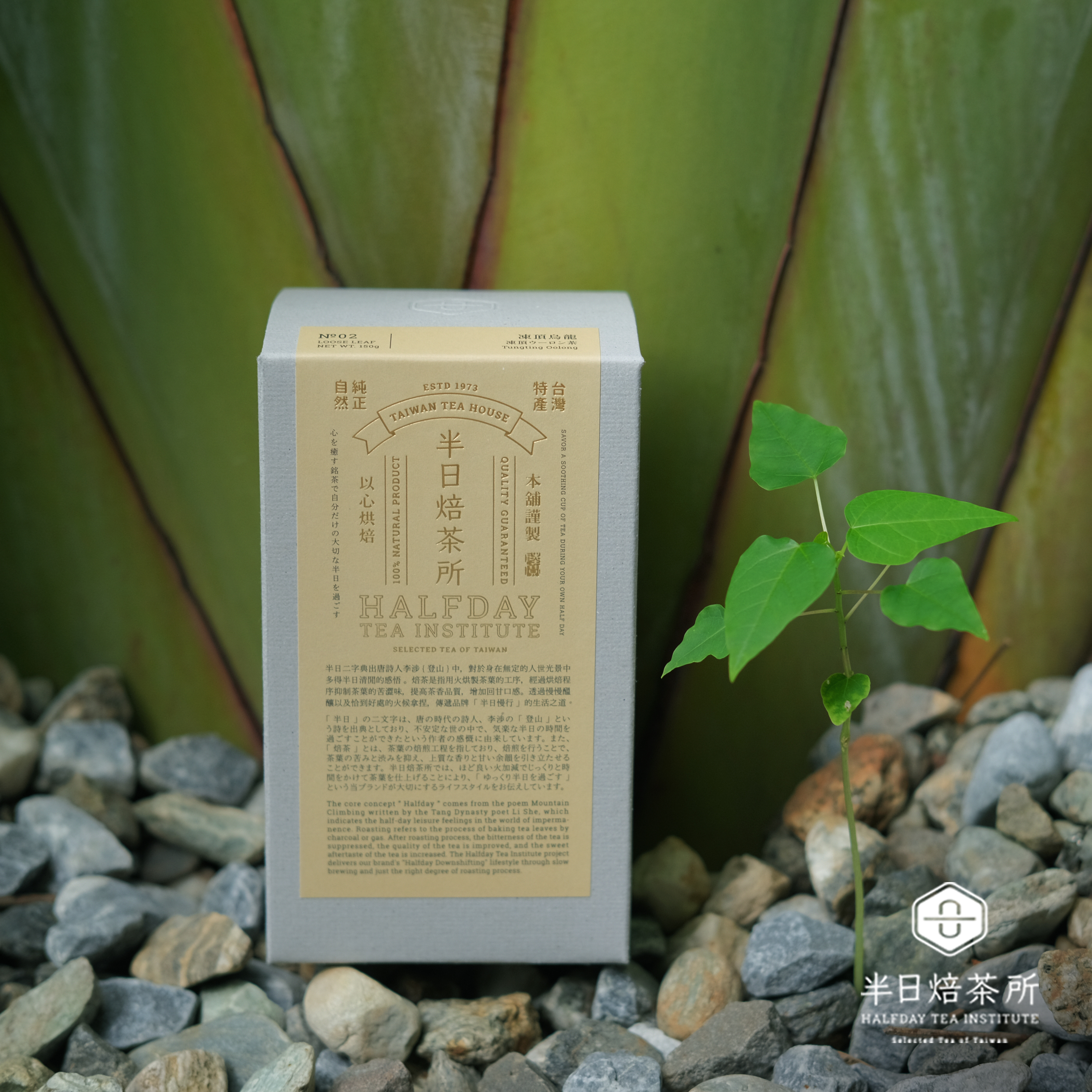 凍頂烏龍茶   75克｜150克 散茶 中外馳名