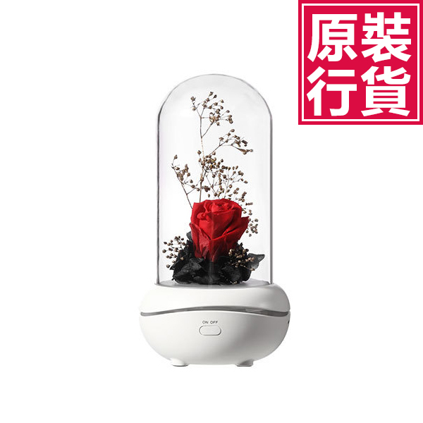 Japan TSK Red Rose Preserved Flower Home Atmosphere Dreamy Night Light Aroma Diffuser (P2820)