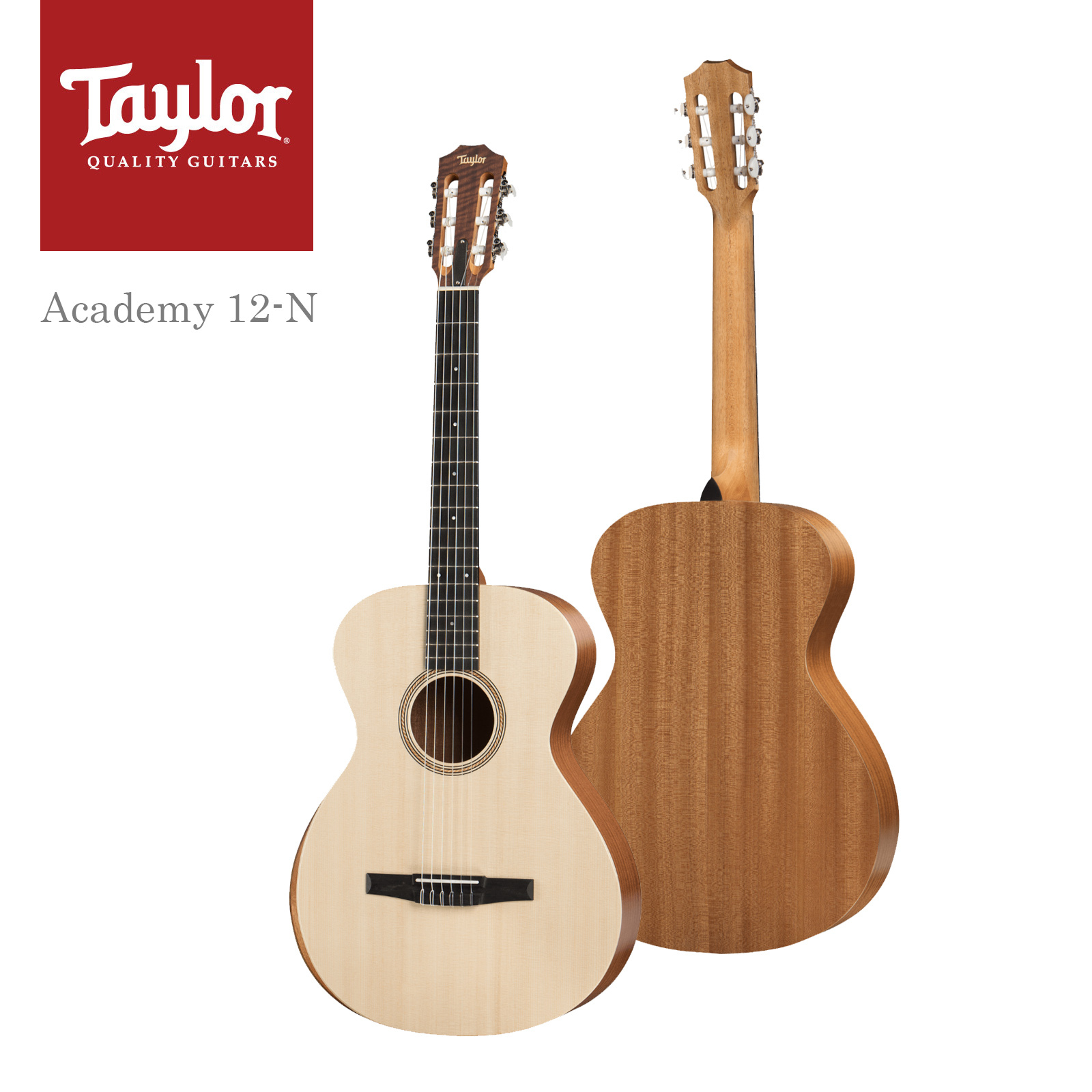 Taylor Academy12 美品-