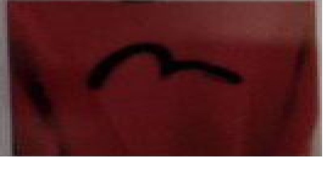 [S] EVISU UNI LOGO SLEEVE LETTERING COTTON SWEATSHIRT,RED, ES5UTS912-RED (SEV108)