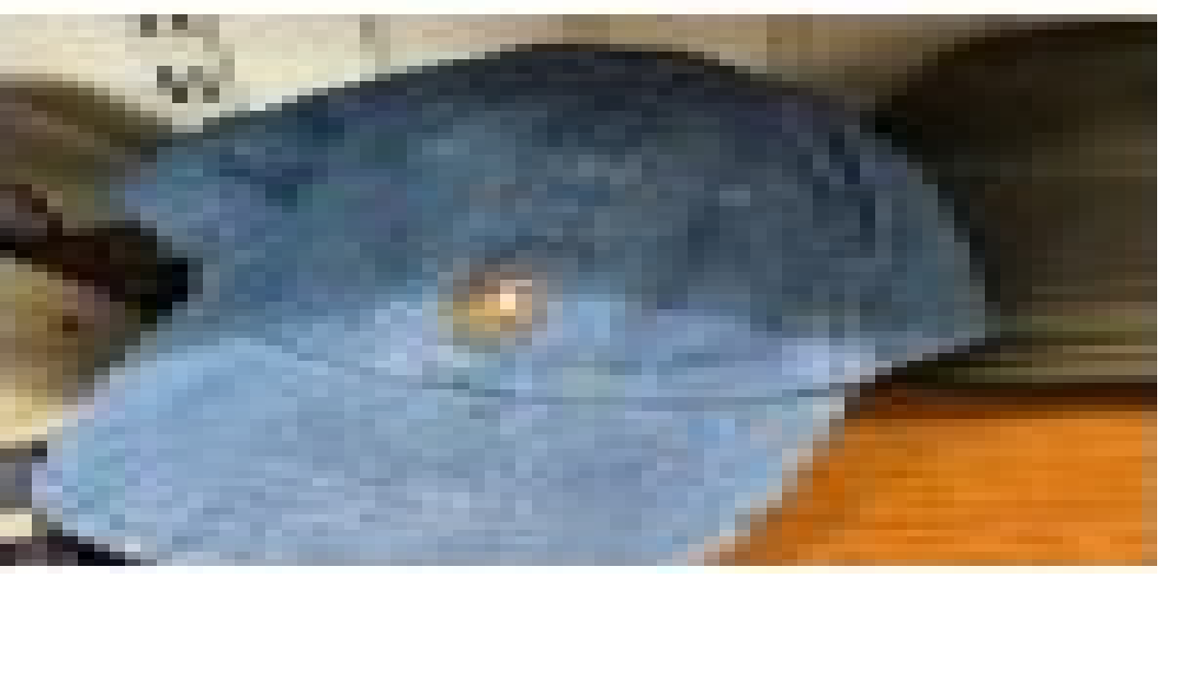 [S] PRL CLASSIC COTTON CHINO CAP,NAVY, 712169332792 (SRL63)