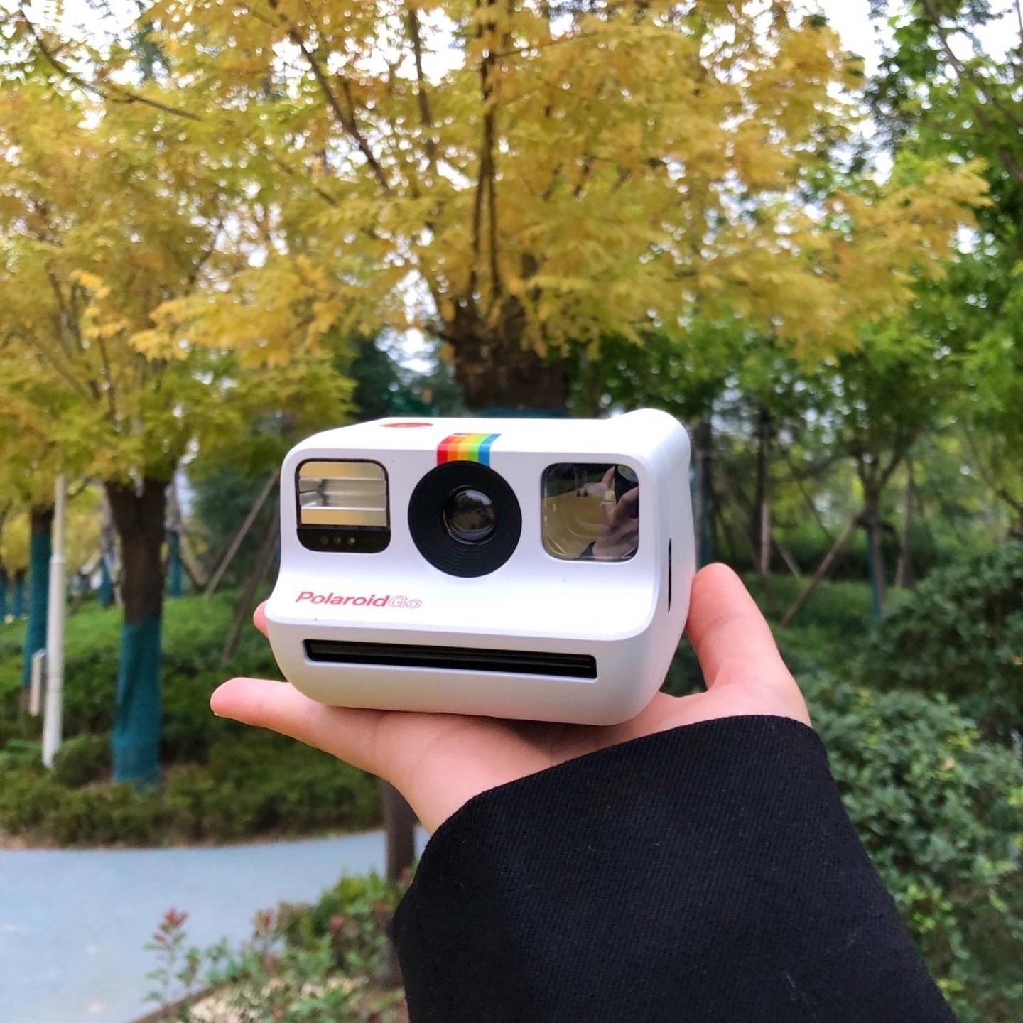 Polaroid Go 世界最小拍立得 專用底片 相片 相機 / 現貨