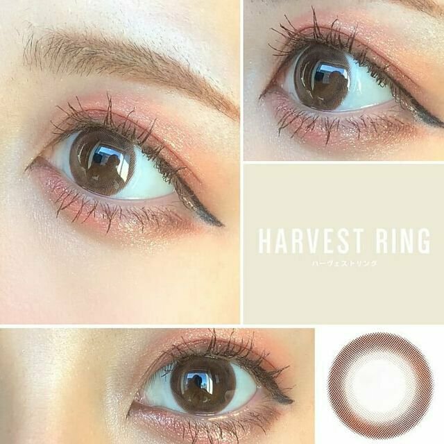 eyecloset 1 Month Harvest Ring 每月拋棄型有色彩妝隱形眼鏡｜每盒2片